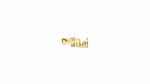 digitalsocialite