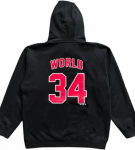 onethirthyWorld