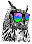 TigerSml
