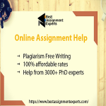 BestAssignmentExpert